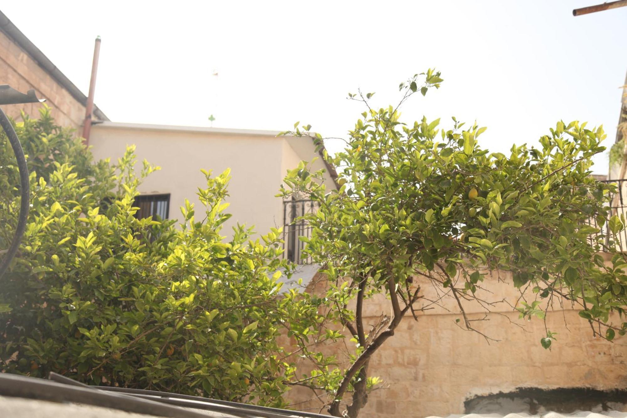 Habira Apartments Jerusalem Exterior photo